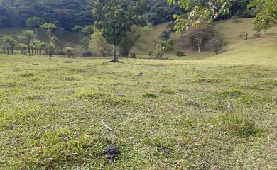 Sítio à venda com 5 quartos, 150000m² - Foto 22
