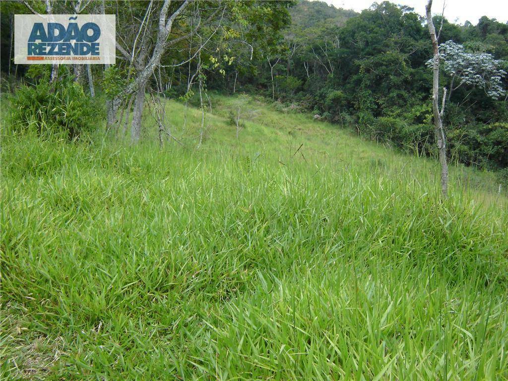 Fazenda à venda com 4 quartos, 1150000M2 - Foto 31