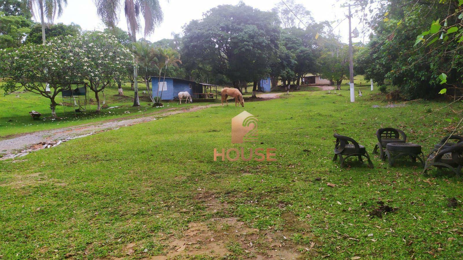 Fazenda à venda com 2 quartos, 133000M2 - Foto 33