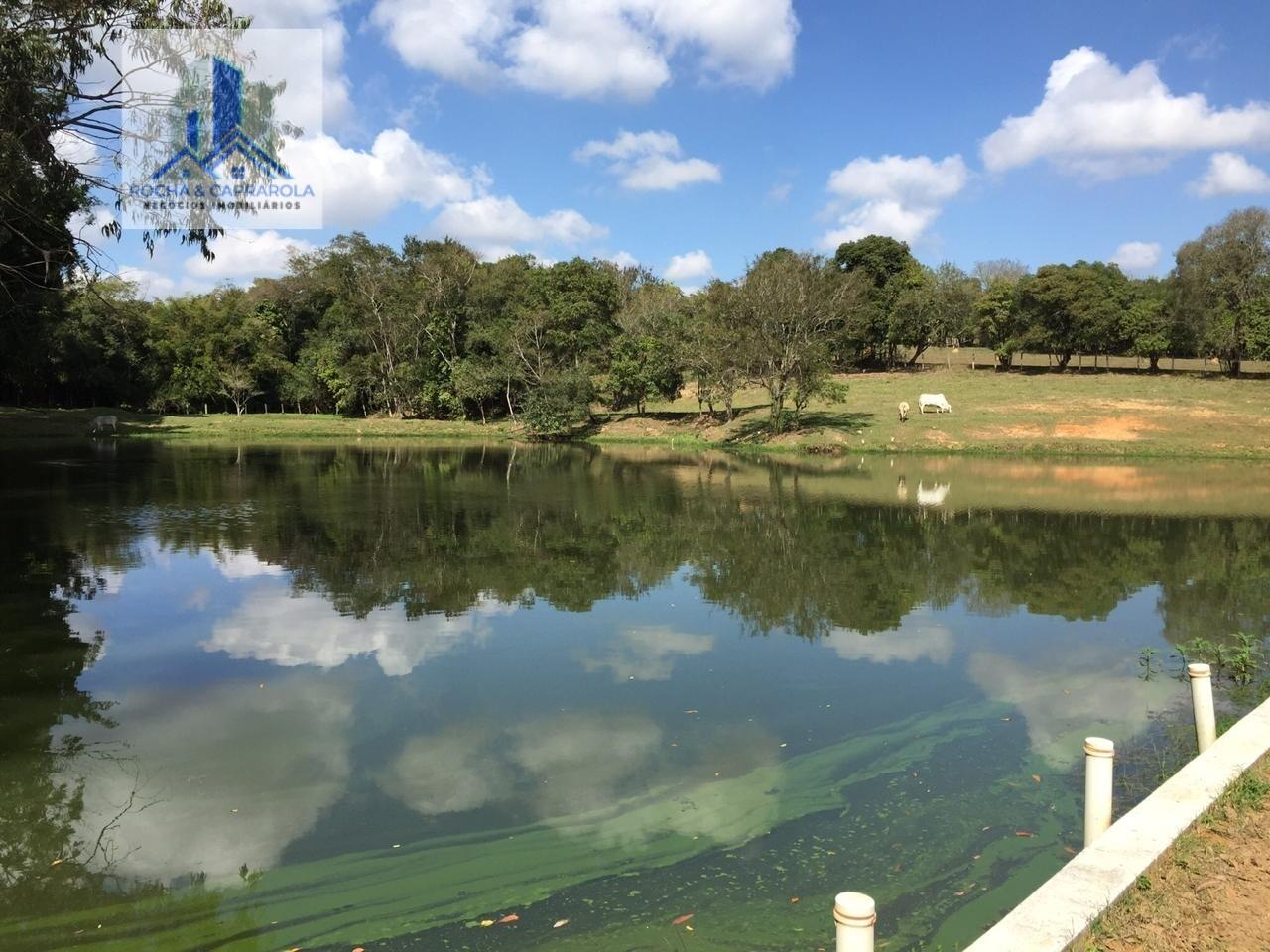 Fazenda à venda com 6 quartos, 145200m² - Foto 44