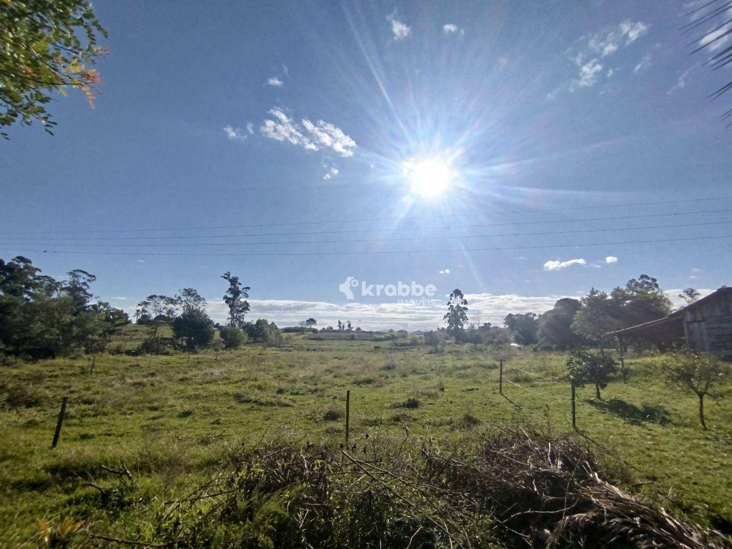 Chácara à venda com 2 quartos, 16000M2 - Foto 9