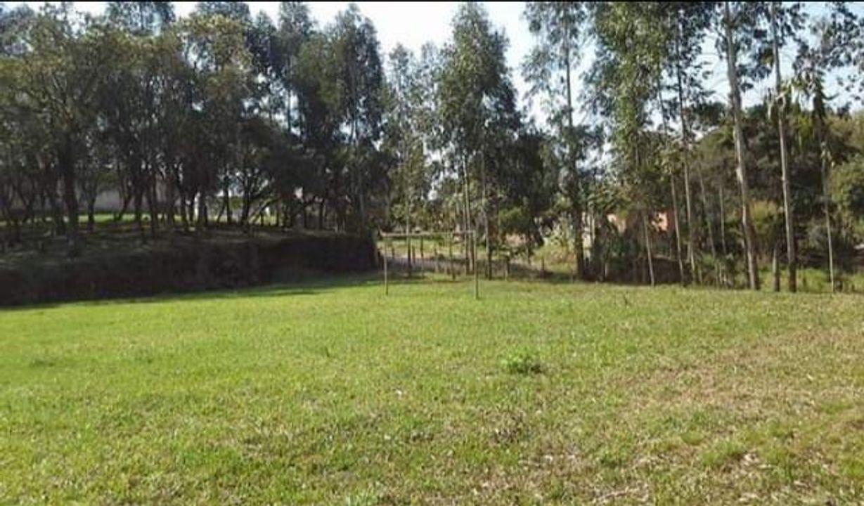 Fazenda à venda, 8291m² - Foto 9