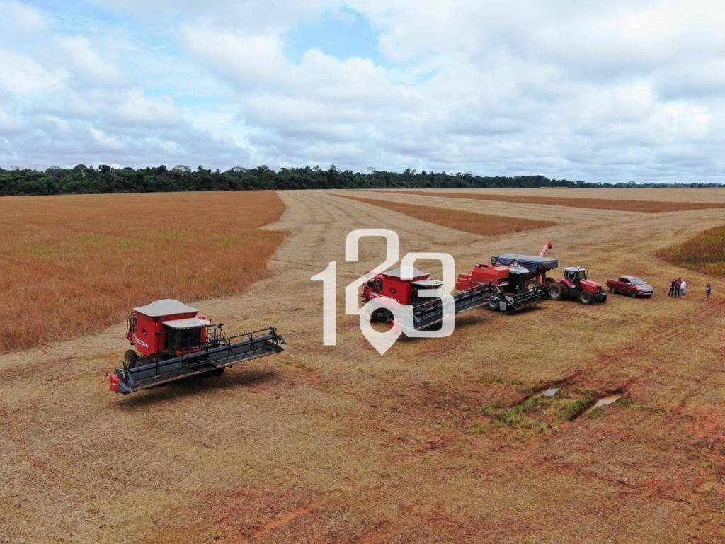 Fazenda-Sítio-Chácara, 3860 hectares - Foto 1