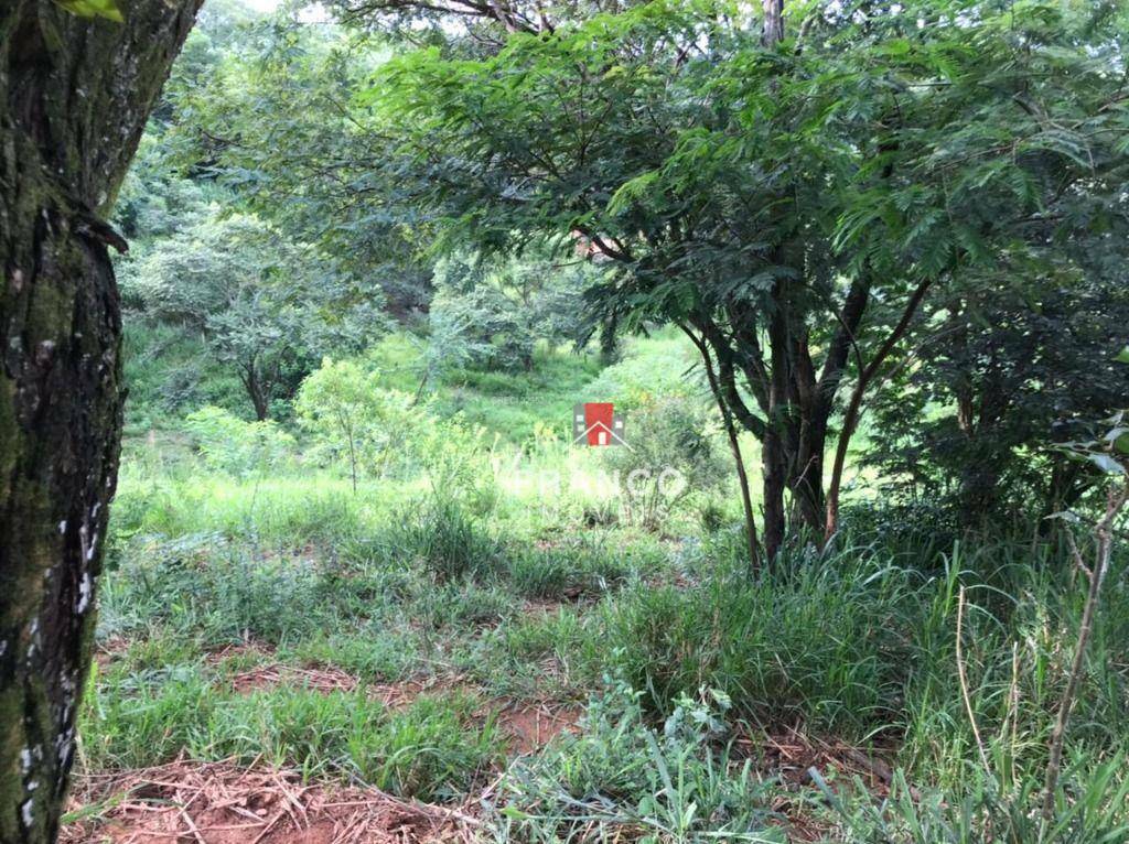 Terreno à venda, 2000M2 - Foto 8