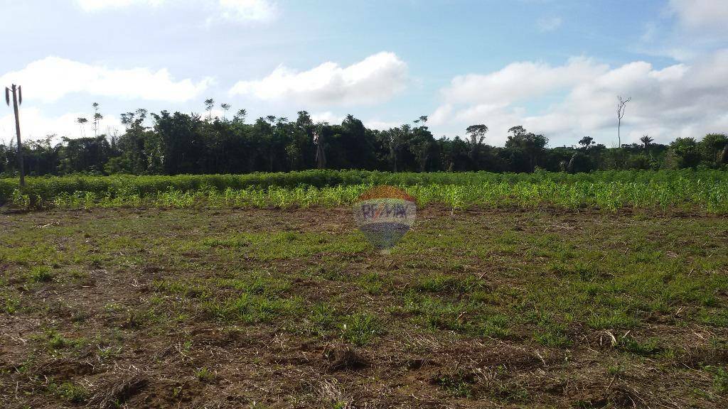 Terreno, 35 hectares - Foto 4