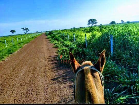 Fazenda à venda, 19263200M2 - Foto 4