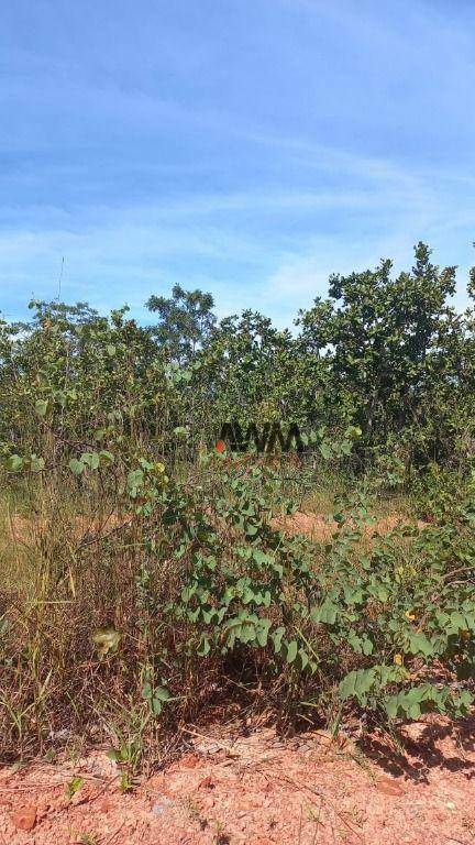 Fazenda à venda, 7090600M2 - Foto 5