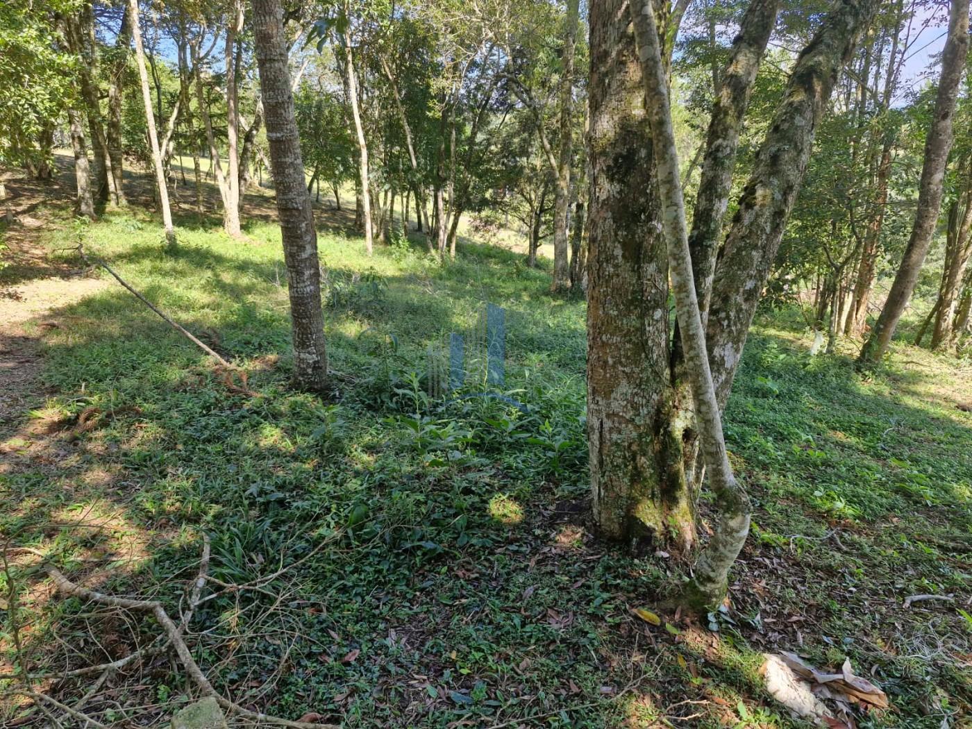 Terreno à venda, 1000m² - Foto 5