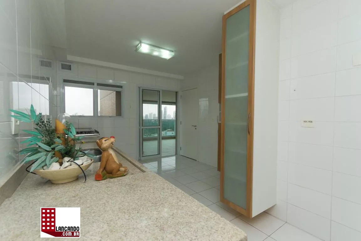 Apartamento à venda com 3 quartos, 213m² - Foto 11