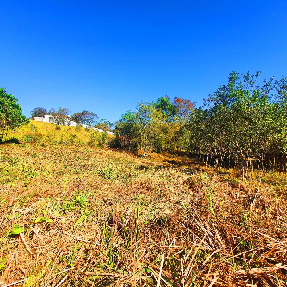 Terreno à venda, 1290m² - Foto 1