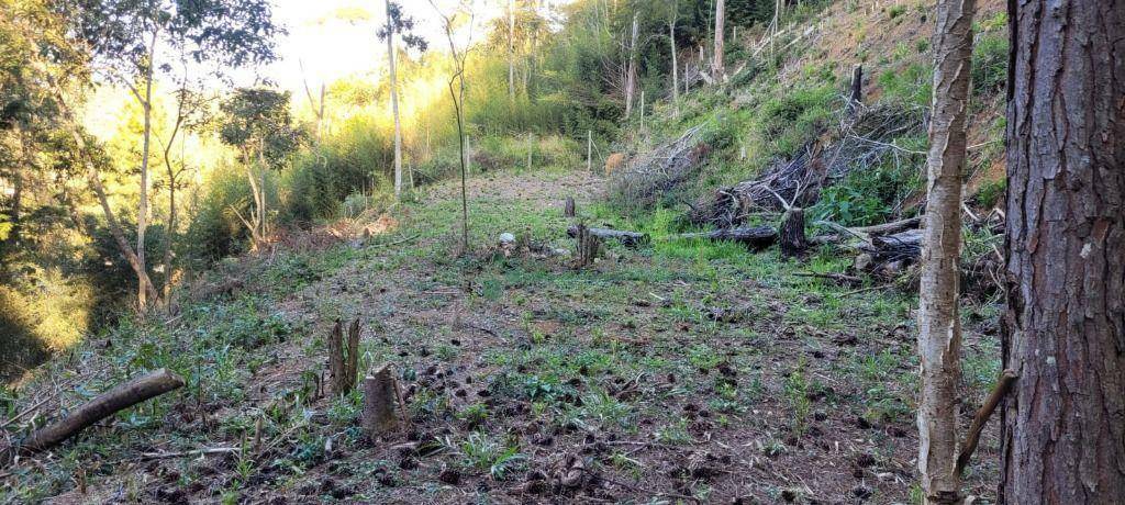 Loteamento e Condomínio à venda, 1750M2 - Foto 8