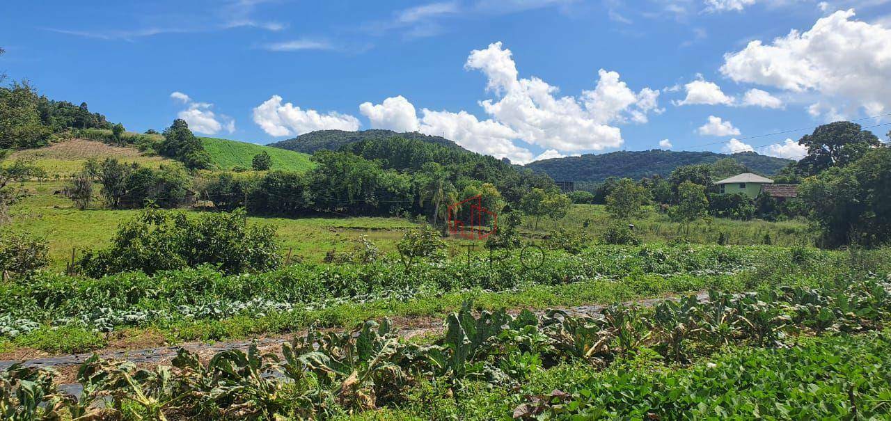 Sítio à venda, 100000M2 - Foto 19