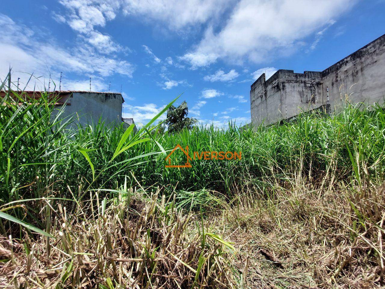 Terreno, 250 m² - Foto 4