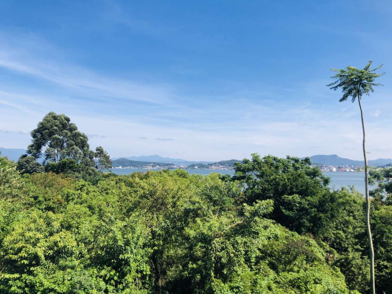 Apartamento, 3 quartos, 93 m² - Foto 8