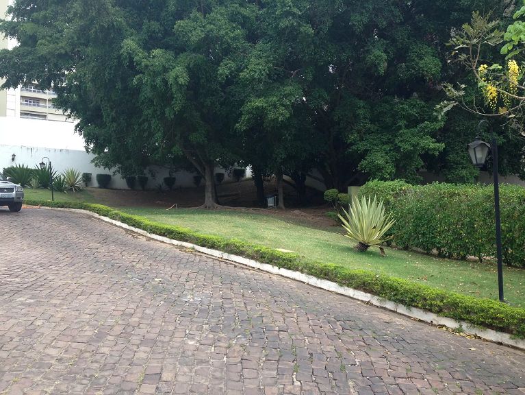 Apartamento à venda com 4 quartos, 232m² - Foto 5