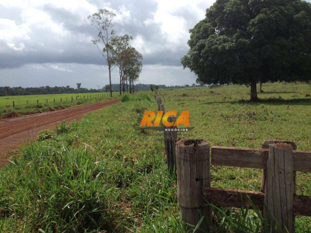 Fazenda à venda com 3 quartos, 1000000M2 - Foto 17