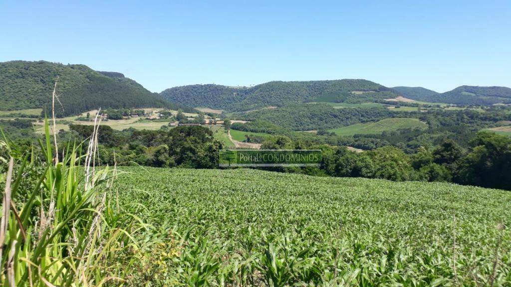 Terreno à venda, 82160M2 - Foto 1