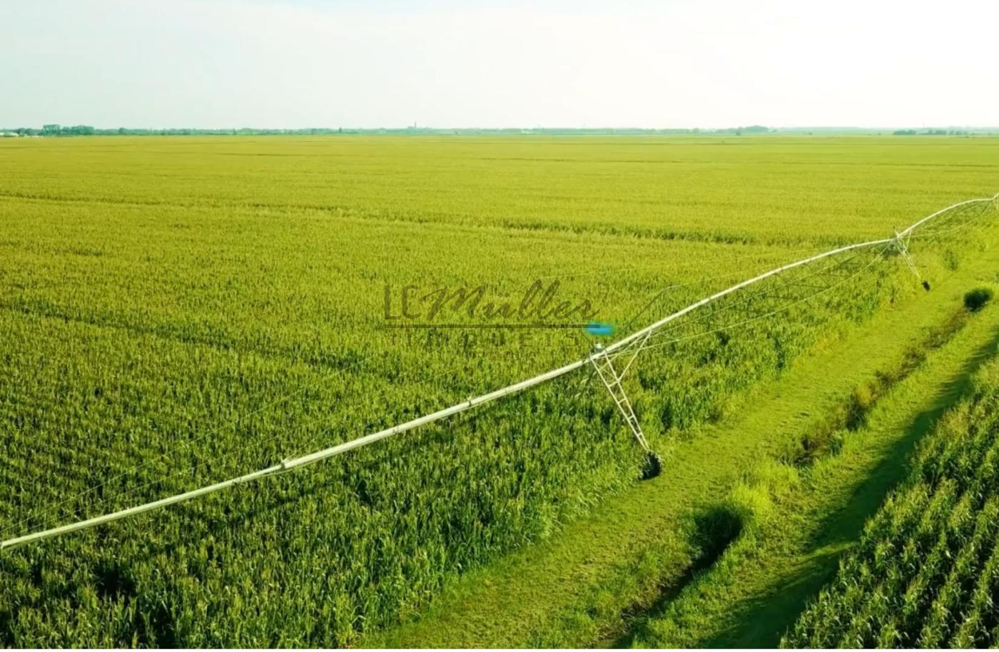 Fazenda à venda, 10000m² - Foto 23