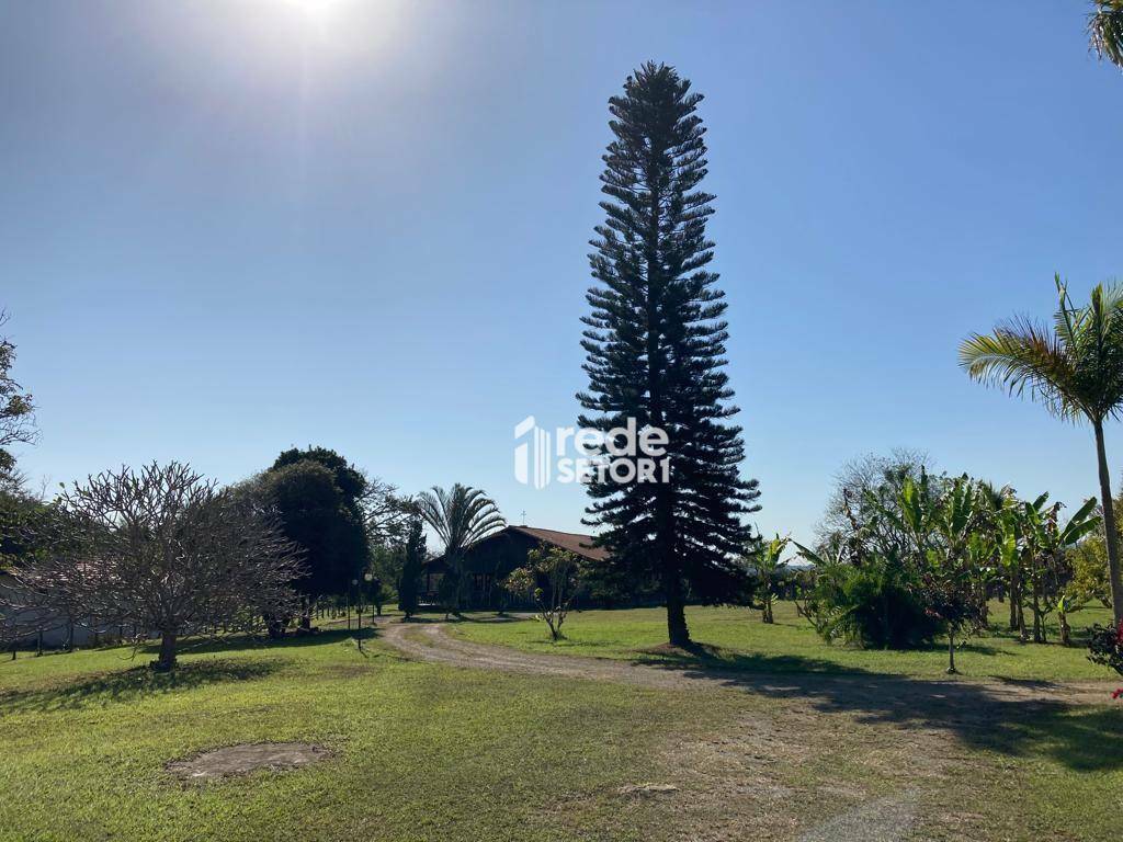 Fazenda à venda com 5 quartos, 383100M2 - Foto 6