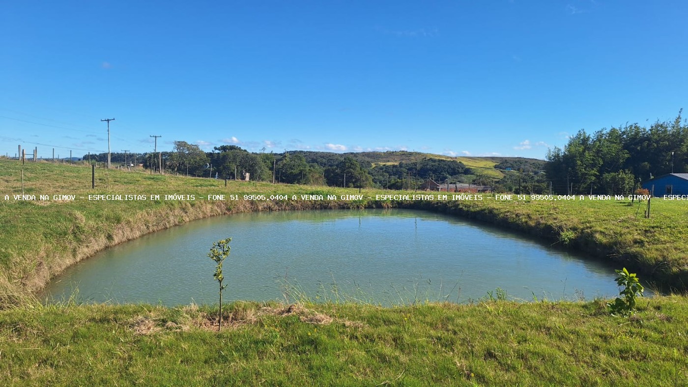 Sítio à venda com 2 quartos, 60000m² - Foto 12