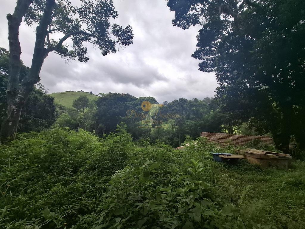 Sítio à venda com 5 quartos, 96800m² - Foto 41