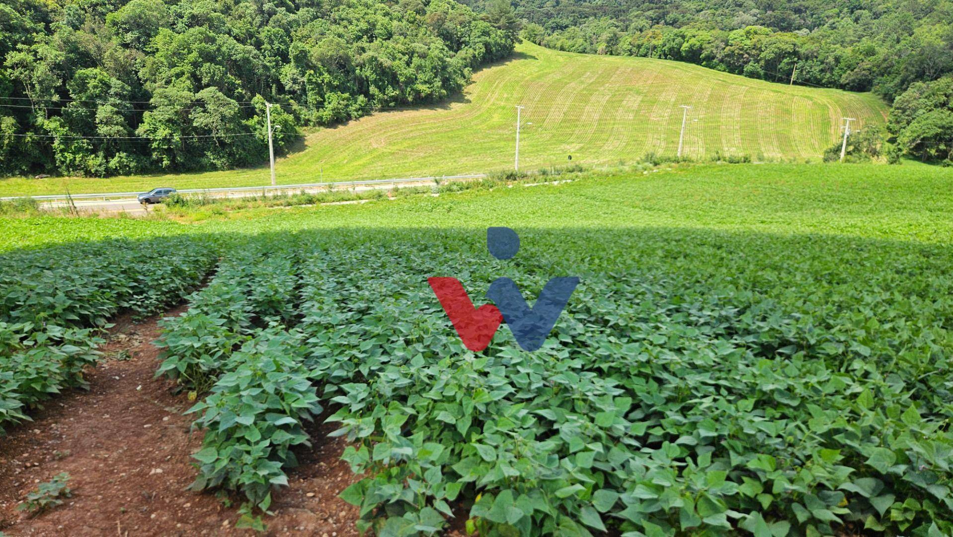 Chácara à venda, 21850M2 - Foto 1