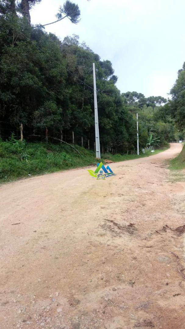 Chácara à venda com 2 quartos, 2600M2 - Foto 2