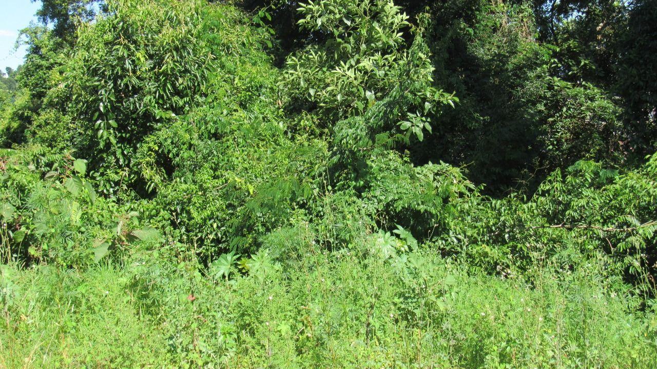 Terreno, 514 m² - Foto 3