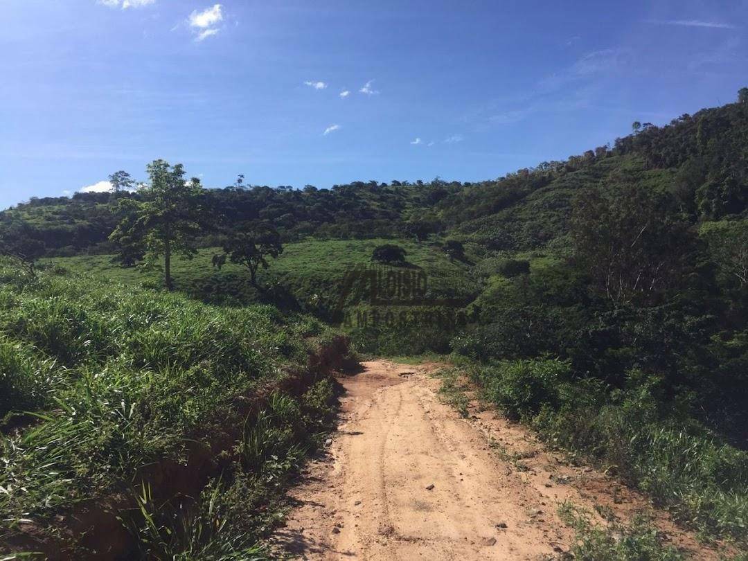 Fazenda à venda, 5469200M2 - Foto 32