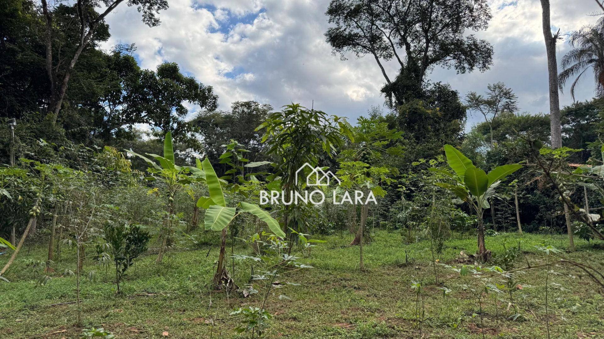 Sítio, 6 quartos, 4 hectares - Foto 29