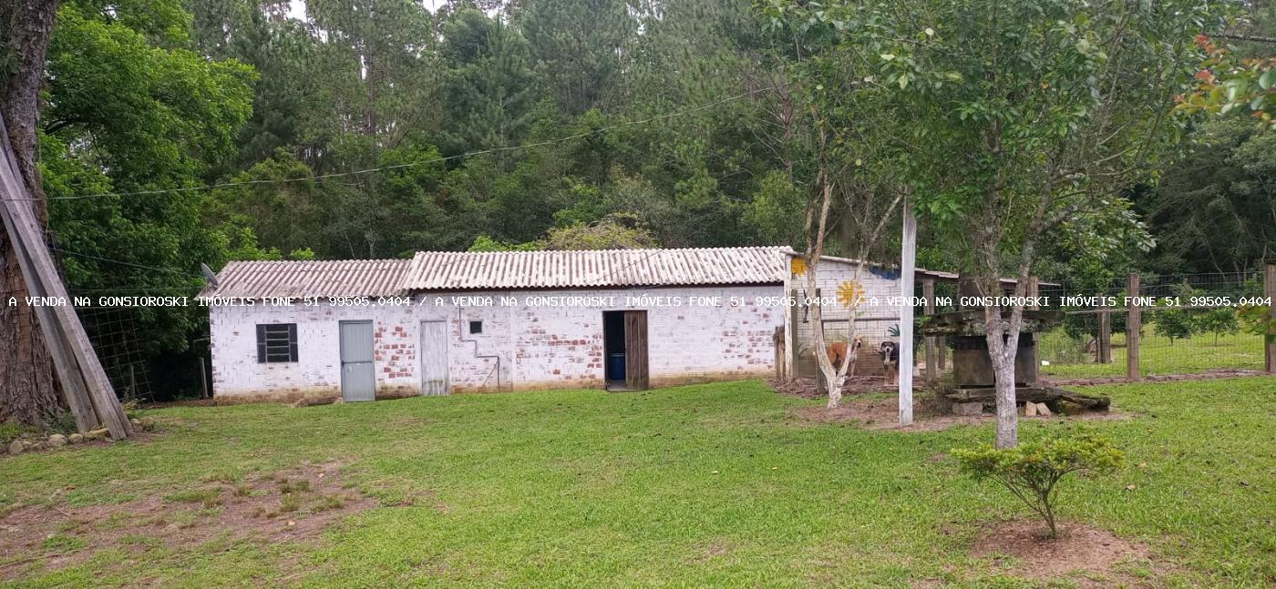 Chácara à venda com 4 quartos, 130000m² - Foto 19