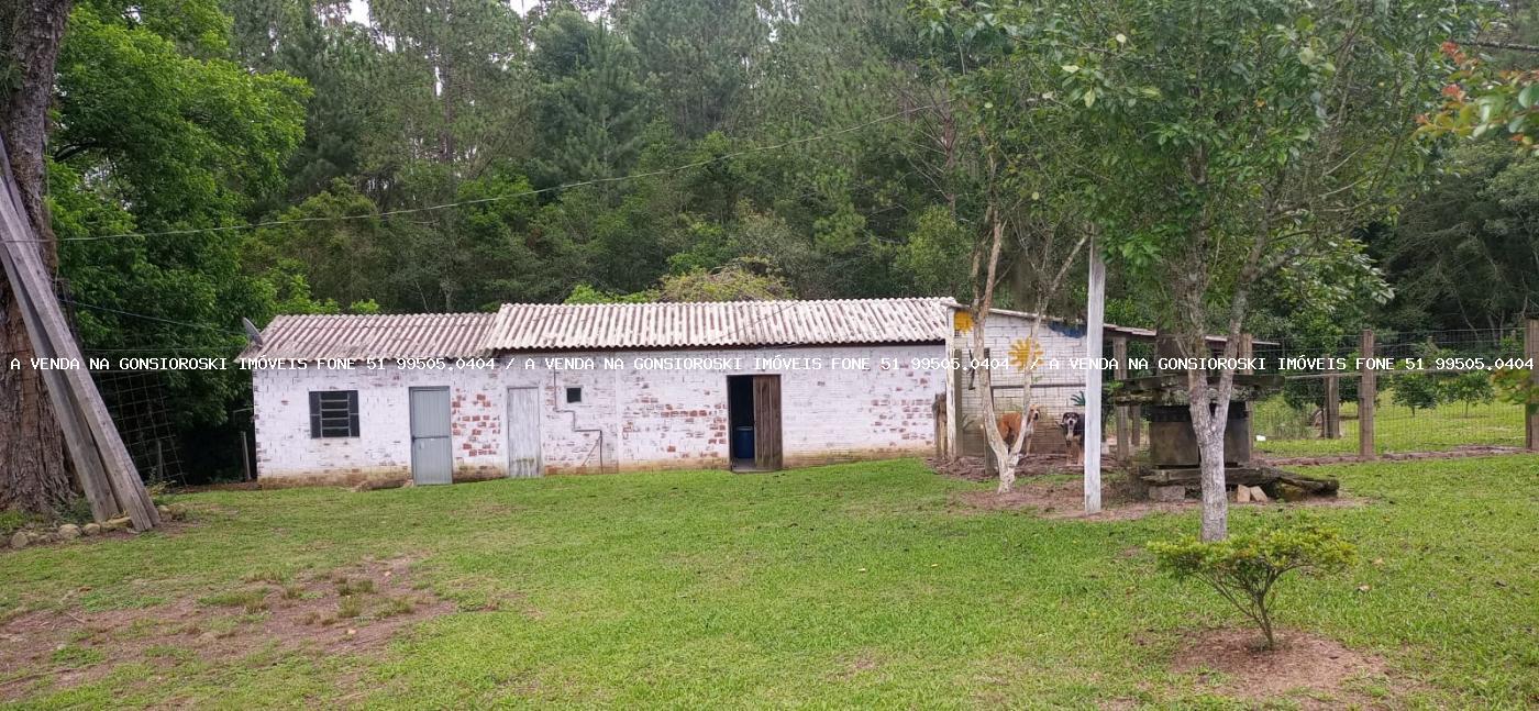 Fazenda à venda com 4 quartos, 130000m² - Foto 19