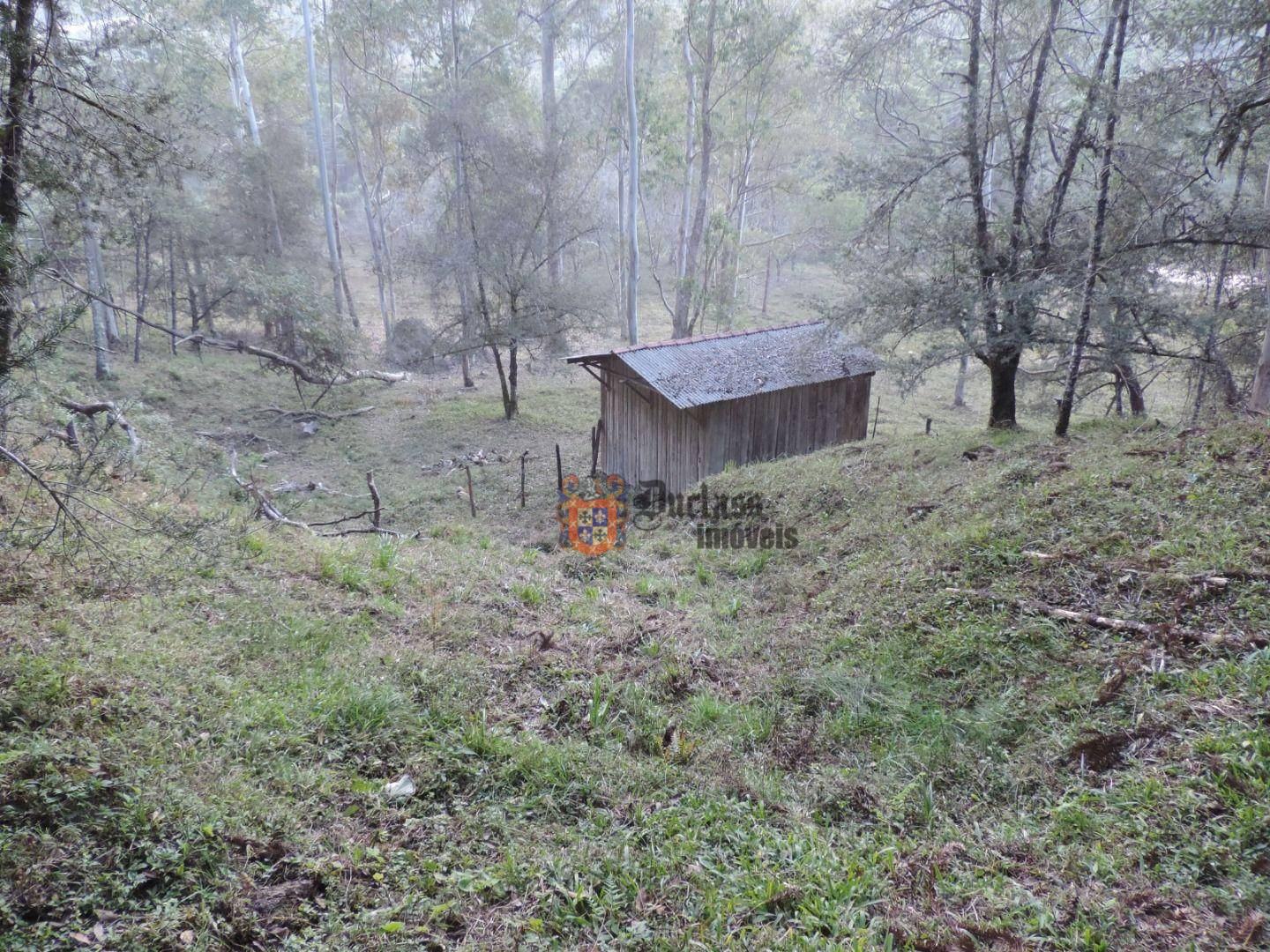 Sítio, 2 quartos, 100 hectares - Foto 4