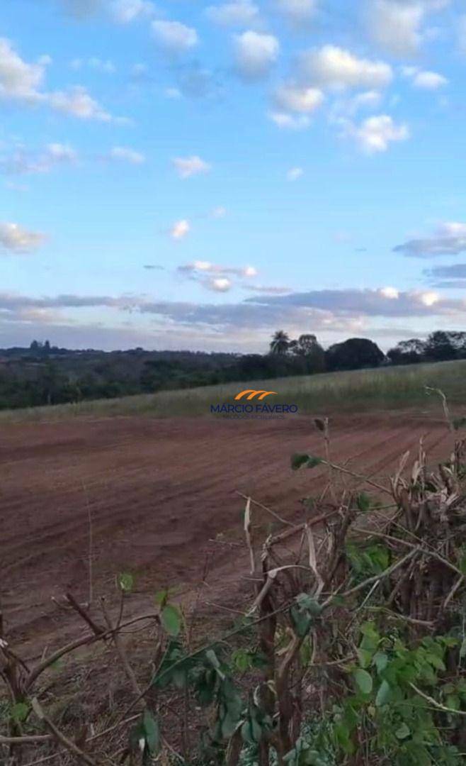 Sítio, 77 hectares - Foto 10