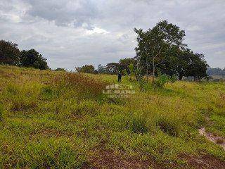 Sítio, 3 quartos, 4 hectares - Foto 26