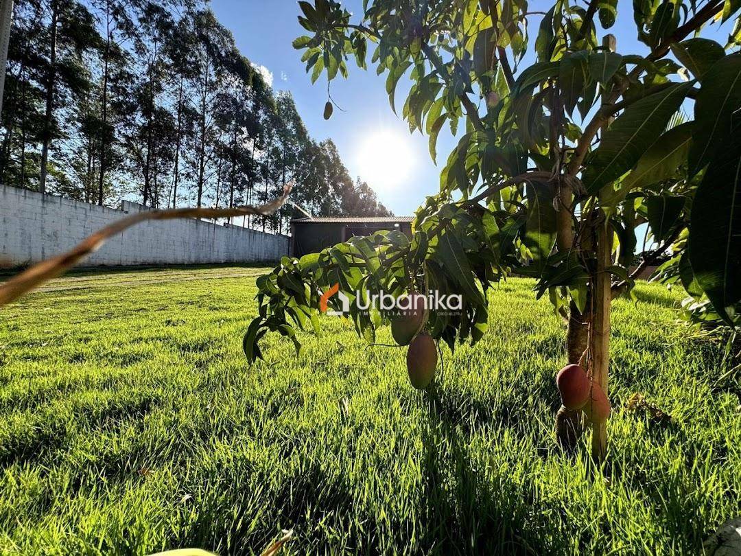 Chácara, 3 quartos, 884 m² - Foto 1