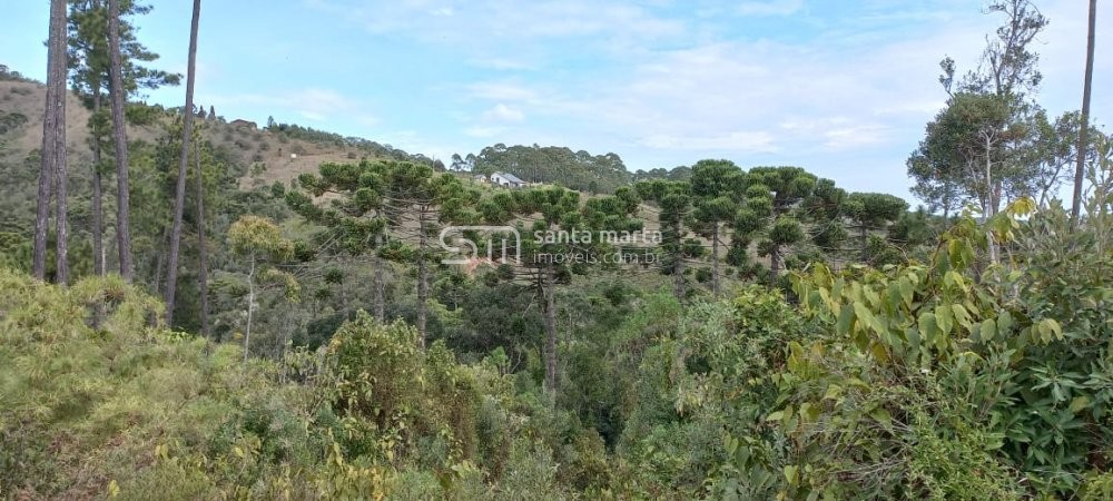 Fazenda à venda, 150m² - Foto 5