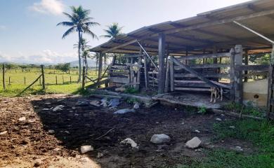 Fazenda à venda com 2 quartos, 96000m² - Foto 5