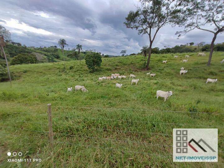 Fazenda à venda, 500m² - Foto 1