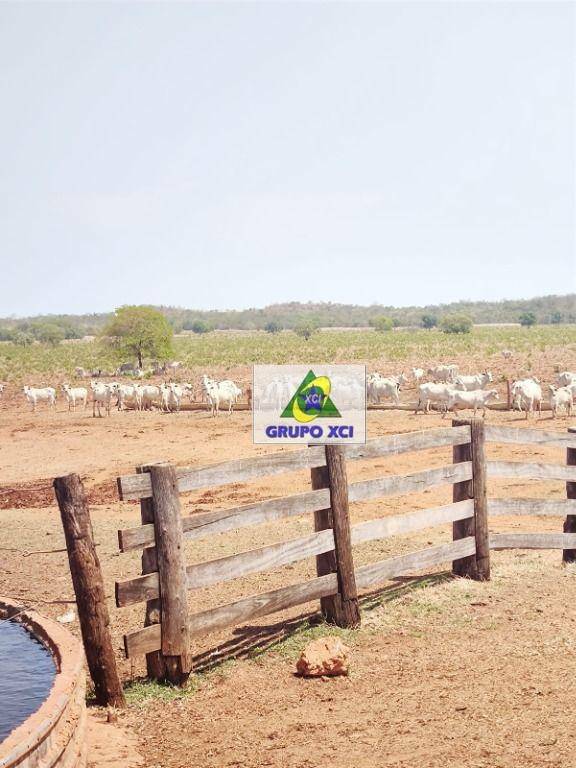 Fazenda à venda, 135000000M2 - Foto 32