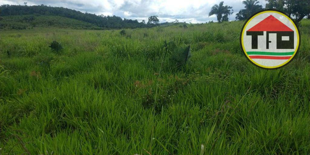 Fazenda, 145 hectares - Foto 9