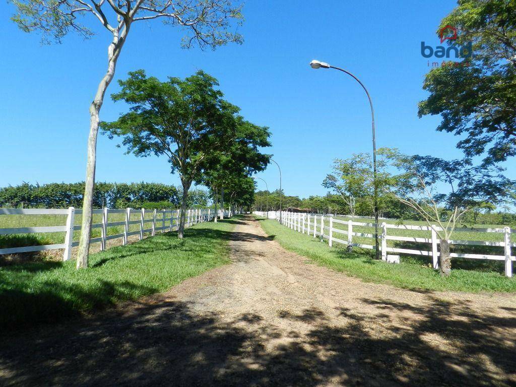 Haras e Área Rural Padrão à venda com 4 quartos, 1500m² - Foto 33