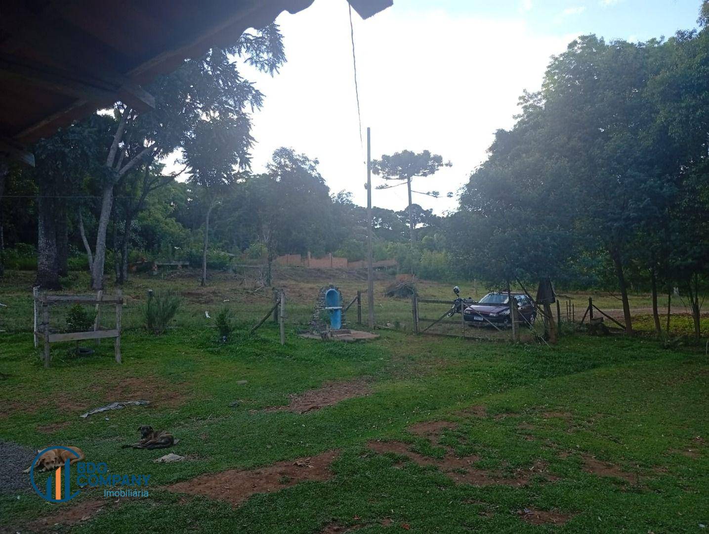 Chácara, 2 quartos, 5445 m² - Foto 5