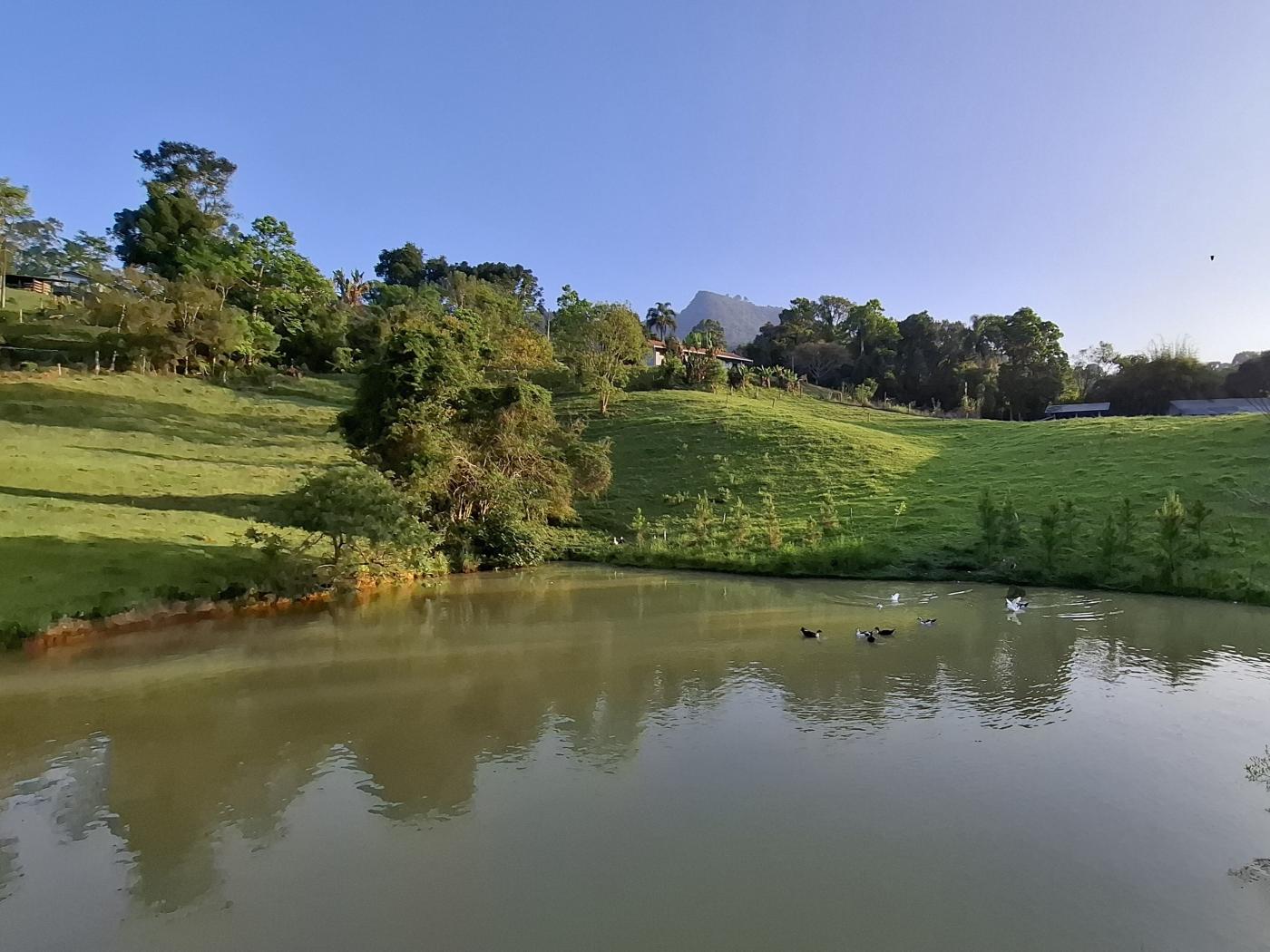 Fazenda à venda com 3 quartos, 90000m² - Foto 30