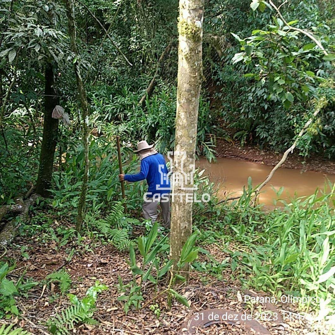 Chácara à venda, 1200M2 - Foto 3