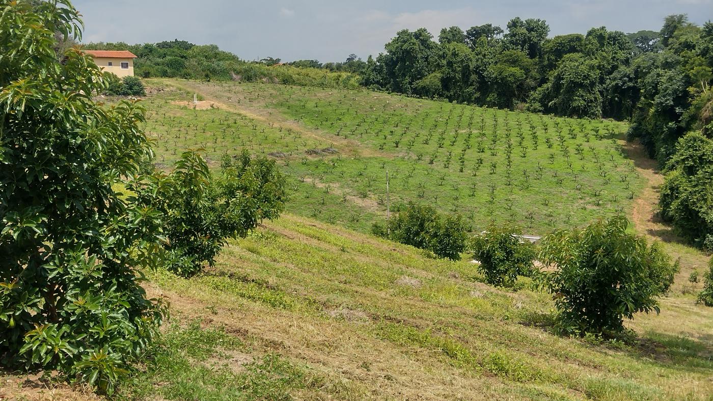 Fazenda à venda, 50000m² - Foto 3