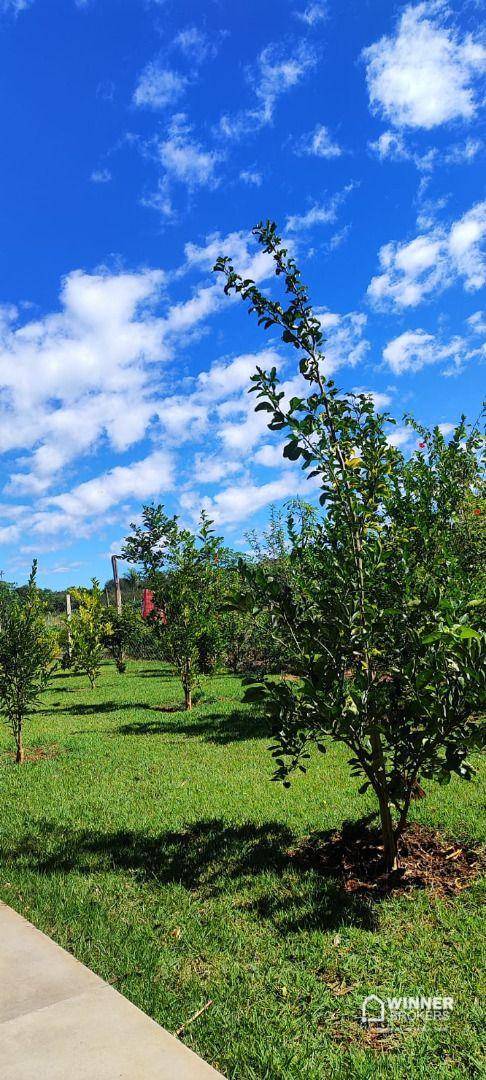 Chácara, 1 quarto, 1050 m² - Foto 4