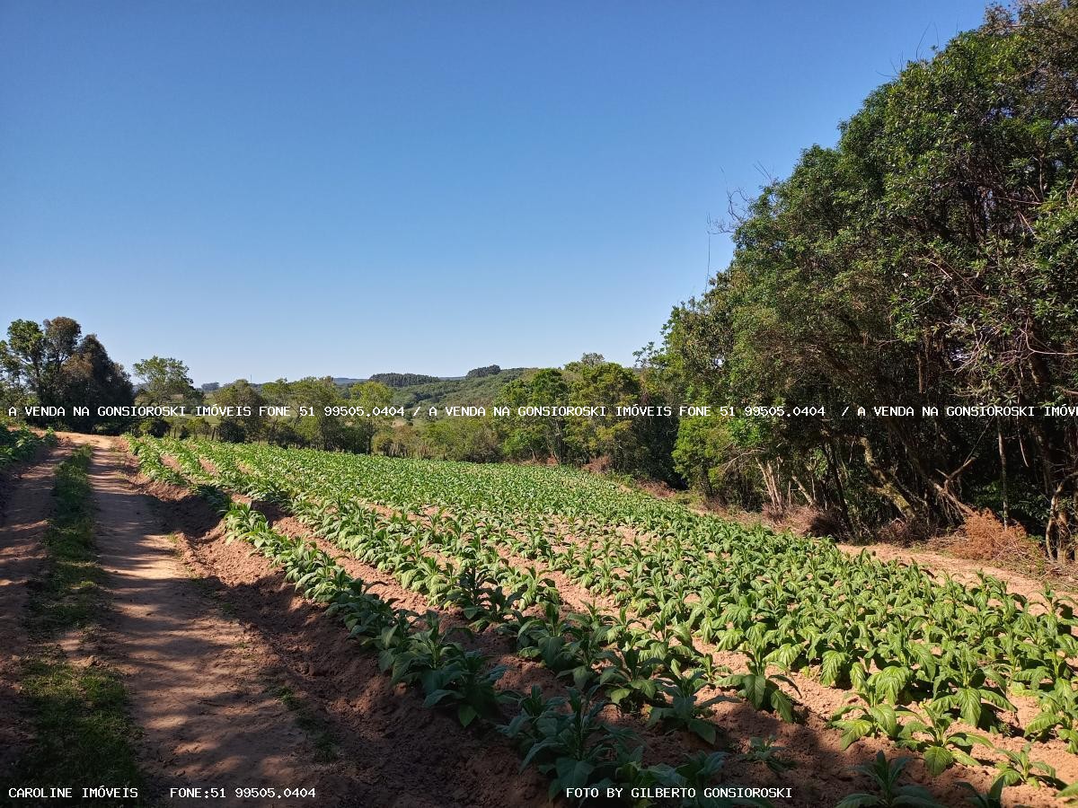 Loteamento e Condomínio à venda, 15500m² - Foto 2