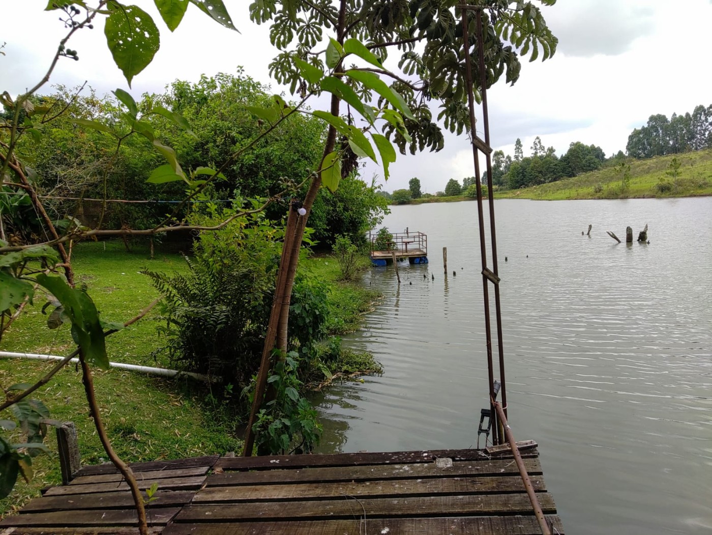 Chácara à venda com 5 quartos, 2900m² - Foto 20