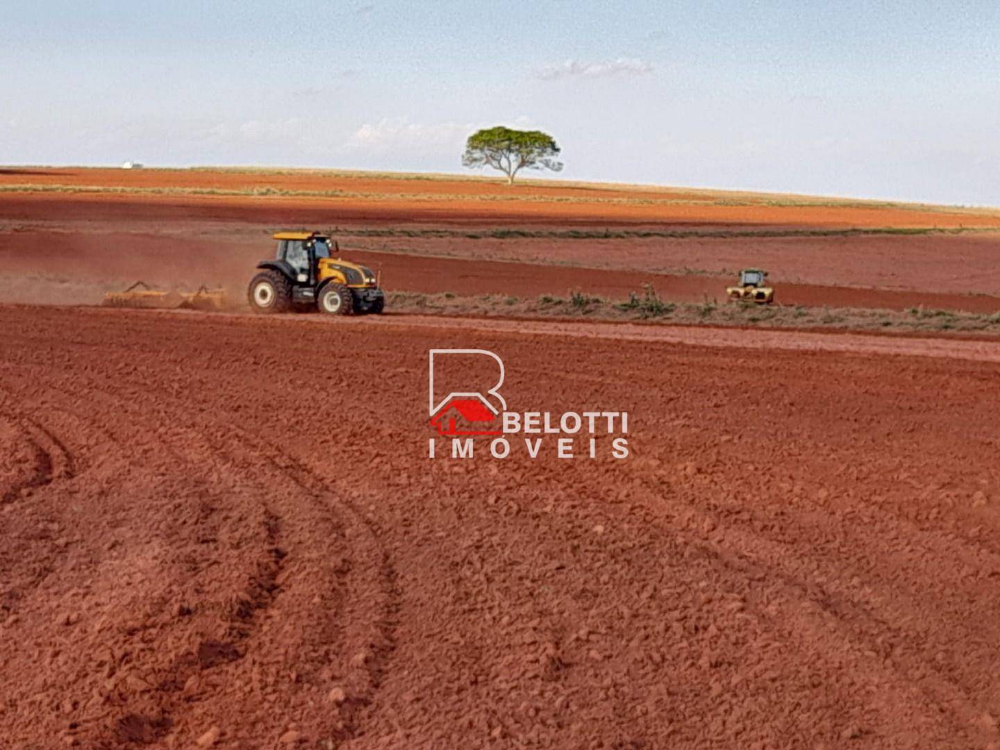 Fazenda-Sítio-Chácara, 1350 hectares - Foto 5